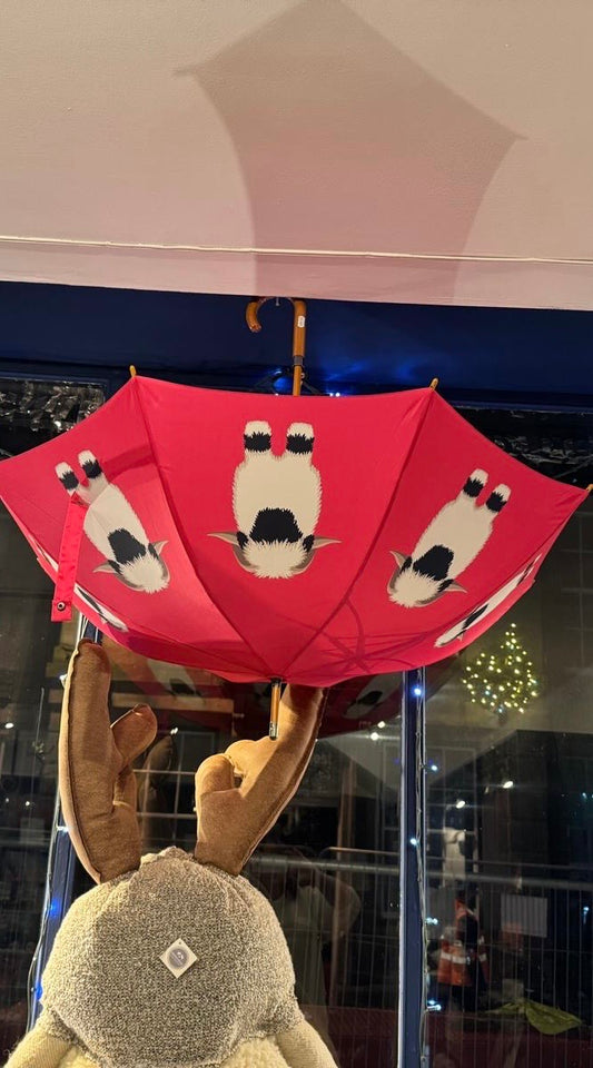 The OG Valais Blacknose Transparent Umbrella