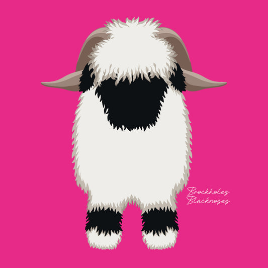 The OG Valais Blacknose Coaster Sheep - Bright Pink