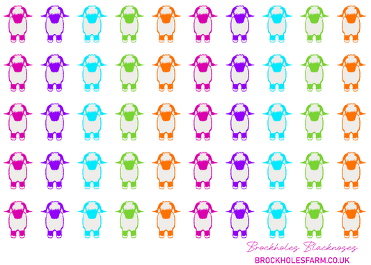 The Jellybean Collection Valais Blacknose Coaster - Multi