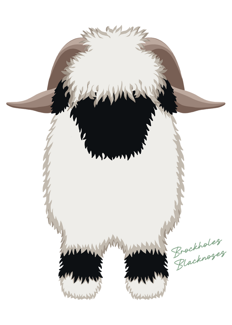 The OG VBN Original Valais Blacknose Collection