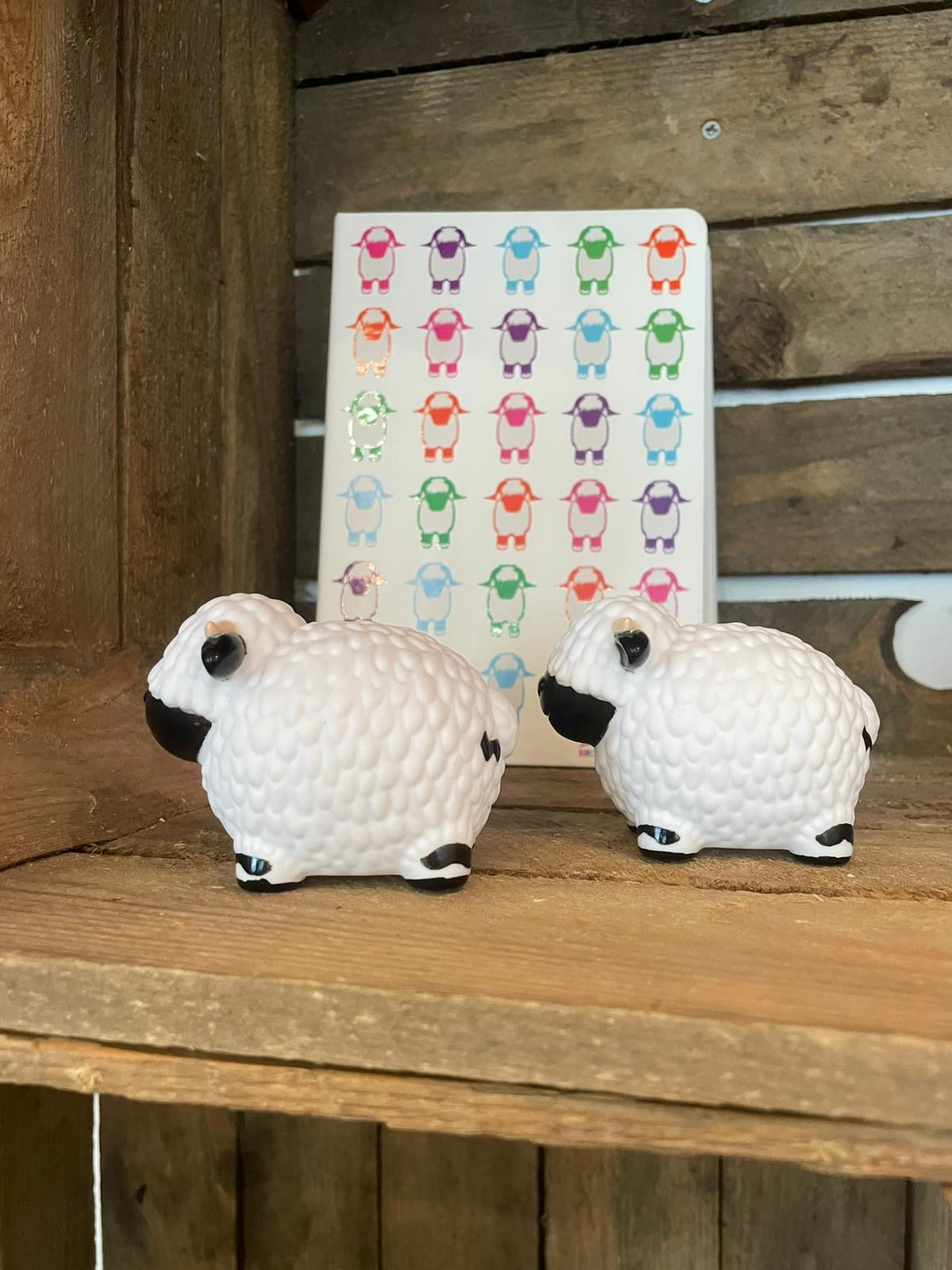 Valais Blacknose Sheep bath duck 😍