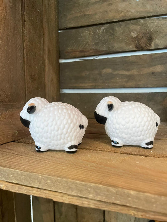 Valais Blacknose Sheep bath duck 😍