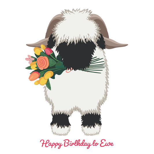 Valais Blacknose Sheep birthday card: "Happy Birthday to  Ewe"