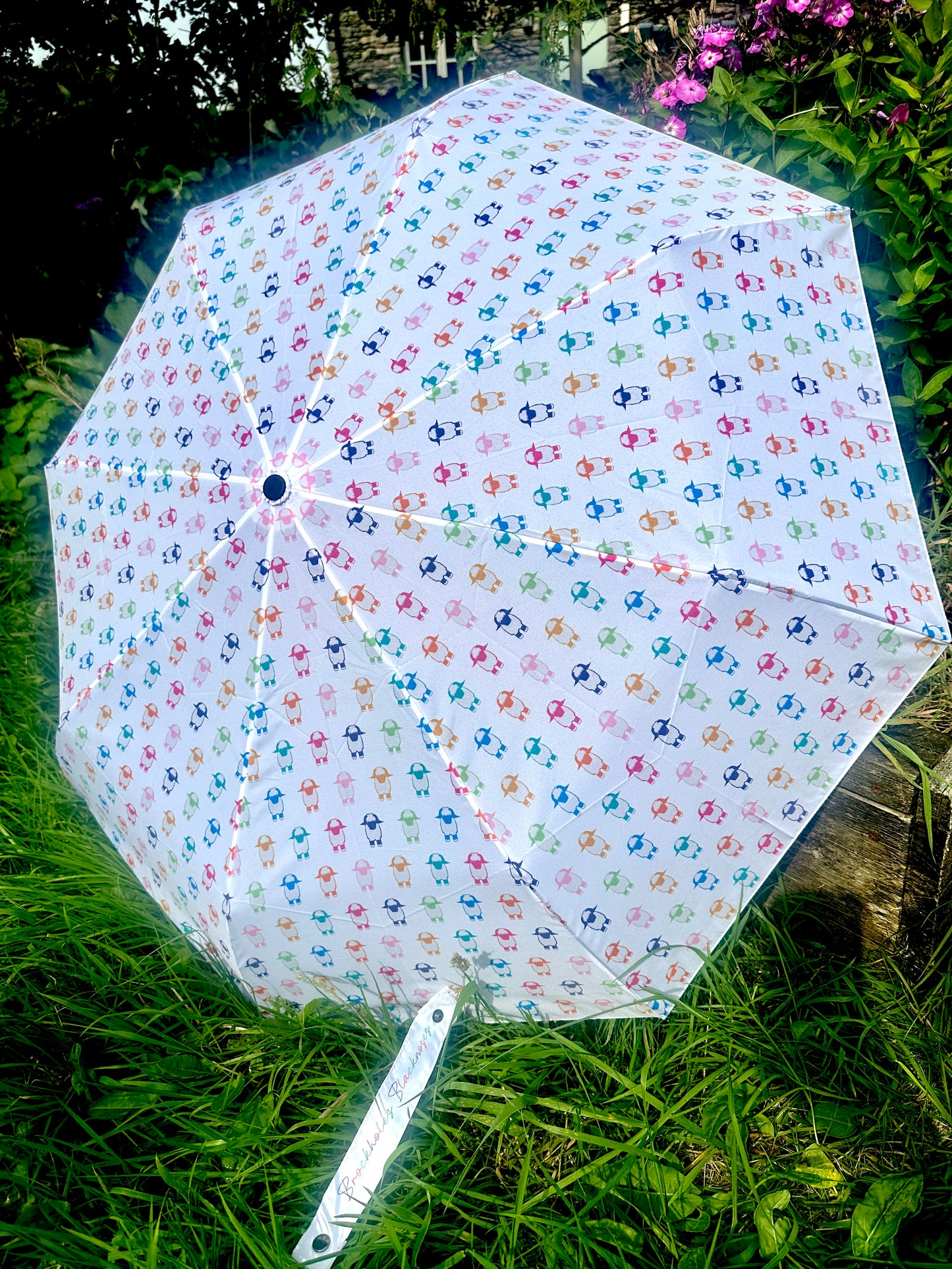 The Jellybean Collection Multi Valais Blacknose Folding Umbrella