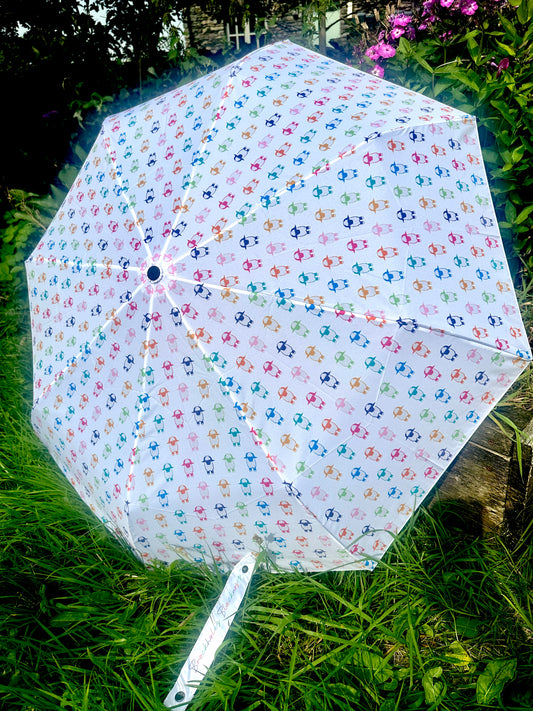 The Jellybean Collection Multi Valais Blacknose Folding Umbrella