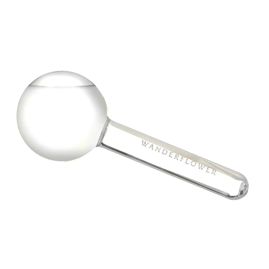Wanderflower Set of 2 Ice Globes
