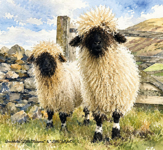 Valais Blacknose Sheep Watercolour Card - Little Macaroni & Little Jellytot