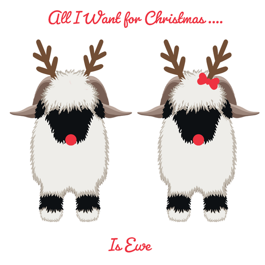 Valais Blacknose Sheep Christmas card “ All I want for Christmas is Ewe"