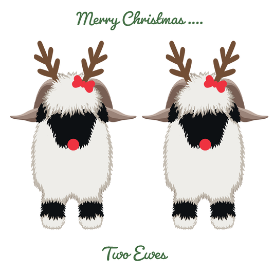 Valais Blacknose Sheep Christmas card: "Merry Christmas two ewes