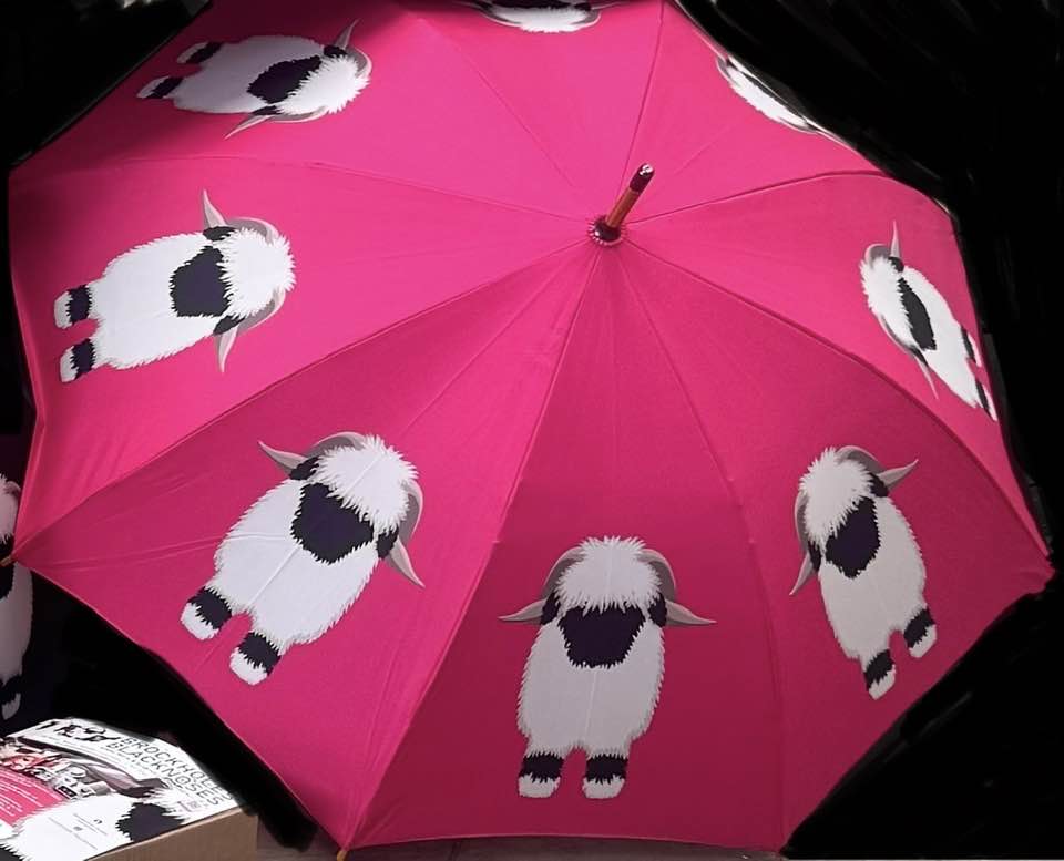 The OG Valais Blacknose Umbrella - Pink