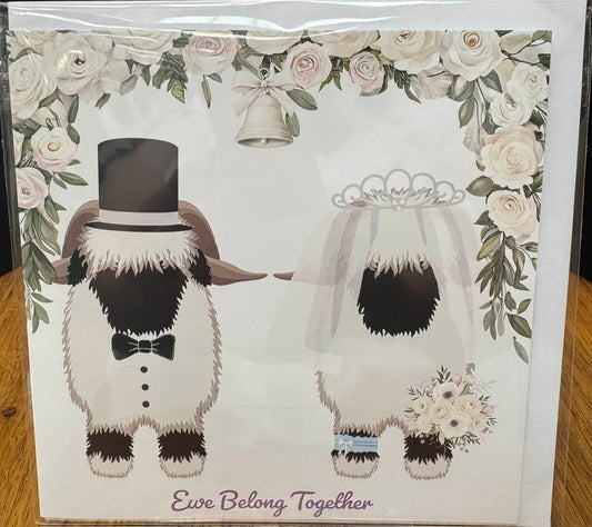 Valais Blacknose Sheep Congratulations card